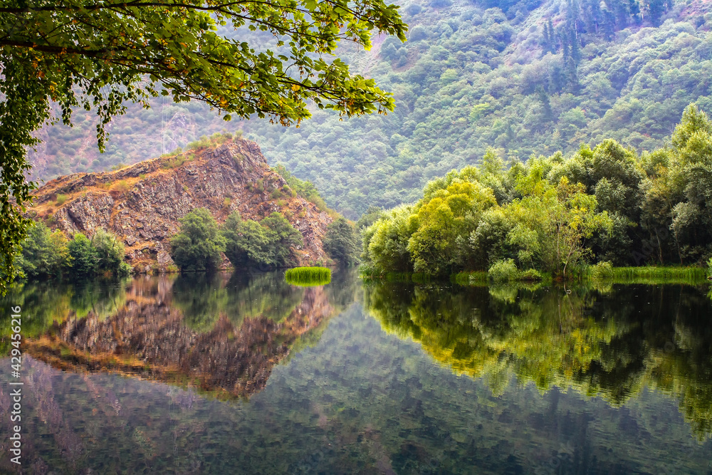 Lush vegetation on the shore of the lake with reflections in the calm water. Asturias Spain.