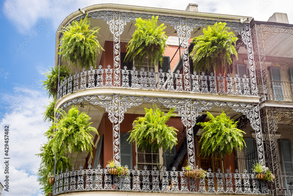 custom made wallpaper toronto digitalNew Orleans