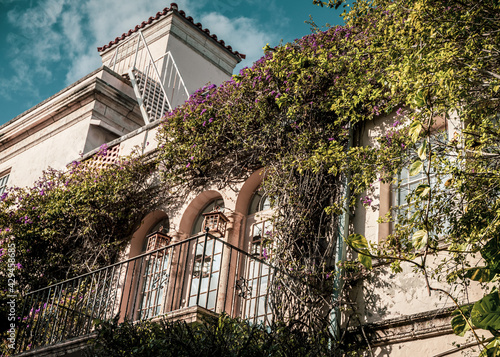 Wallpaper Mural Palm Beach Worth Ave Torontodigital.ca