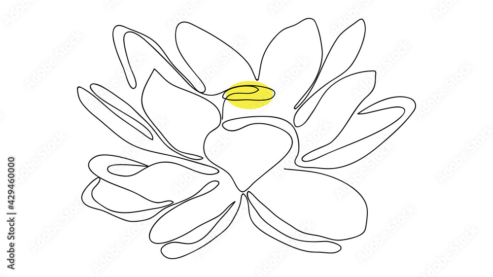 Lotus flower line art. Minimalist contour drawing, isolated on white background Lotus flower line art. Minimalist contour drawing, isolated on white background