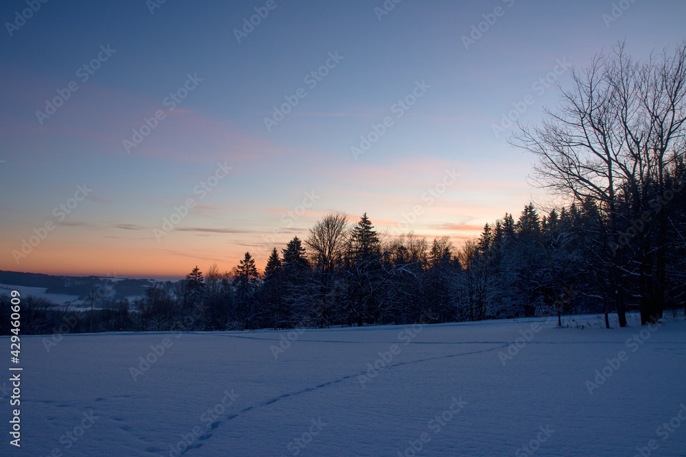 Beautiful sunset over a winter snowy pasture. In the background is a forest. Beautiful sunset over a winter snowy pasture. In the background is a forest.