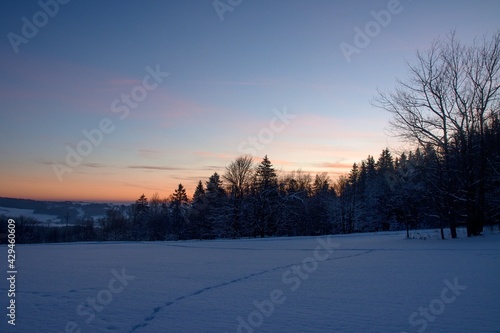 Beautiful sunset over a winter snowy pasture. In the background is a forest.