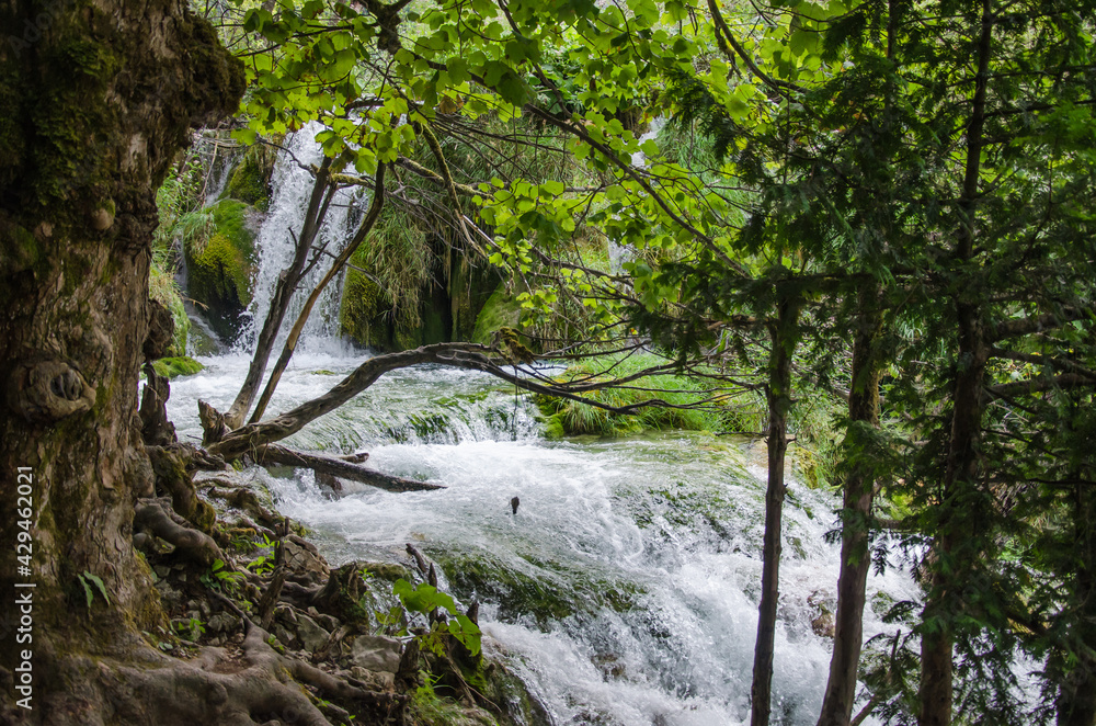 Nationalpark Plitvicer Seen, Nationalpark Plitvicer Seen,