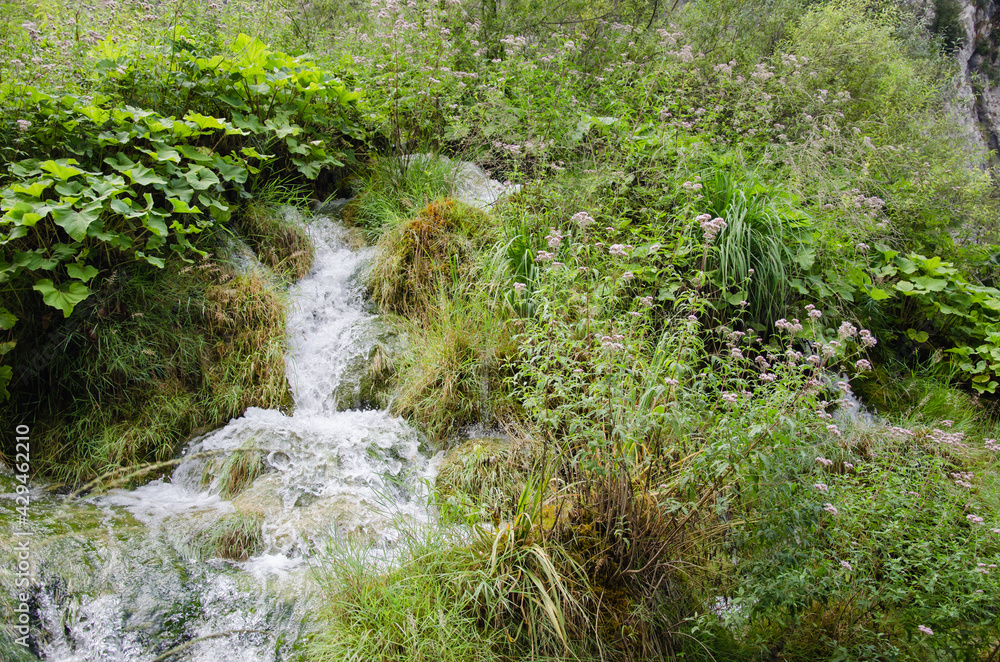 Plitvicer Seen, Unesco -Weltnaturerbe,
Plitvicer Seen, Unesco -Weltnaturerbe,