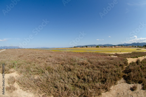 Oropos Greece wetland