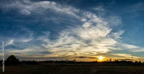 Sky atmosphere with sunset light over rice fields  Thailand.