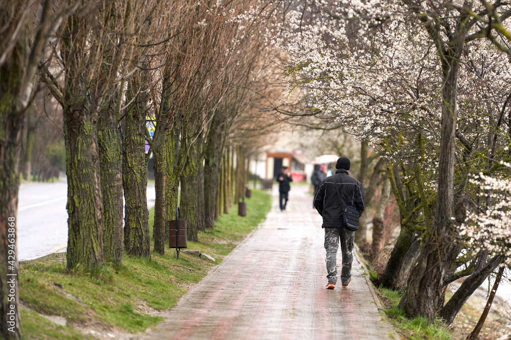 A rainy, overcast day. People are walking along the flowery alley. In the foreground, a man in warm clothes and a hat. Selective focus.