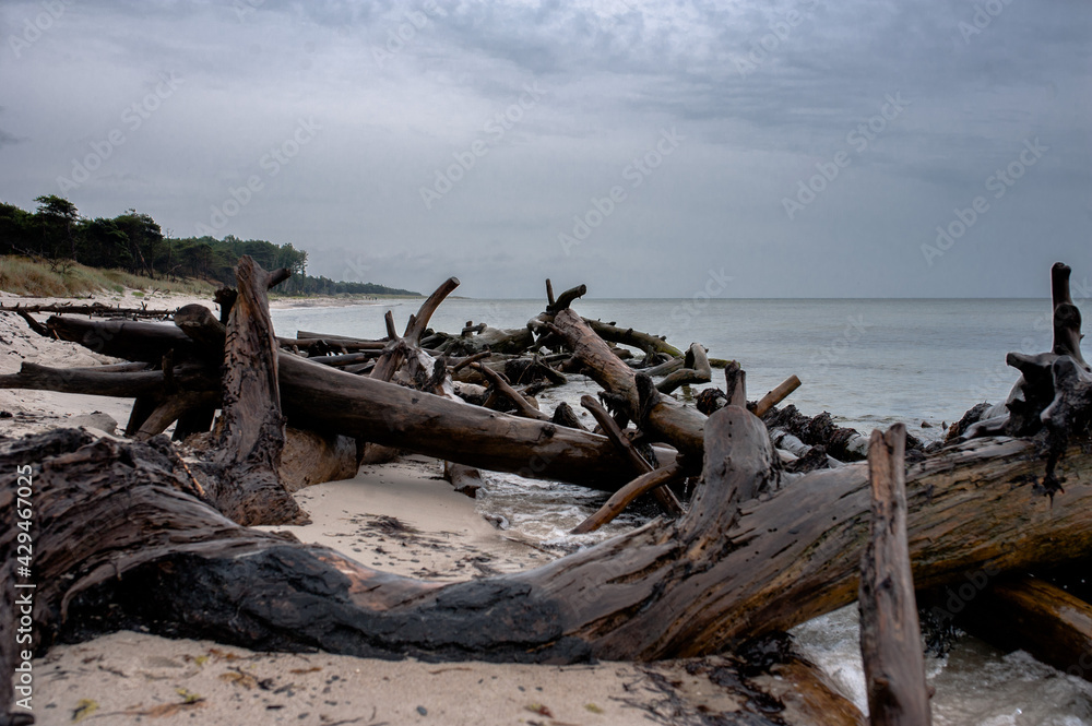 Dueodde Strand Dueodde Strand