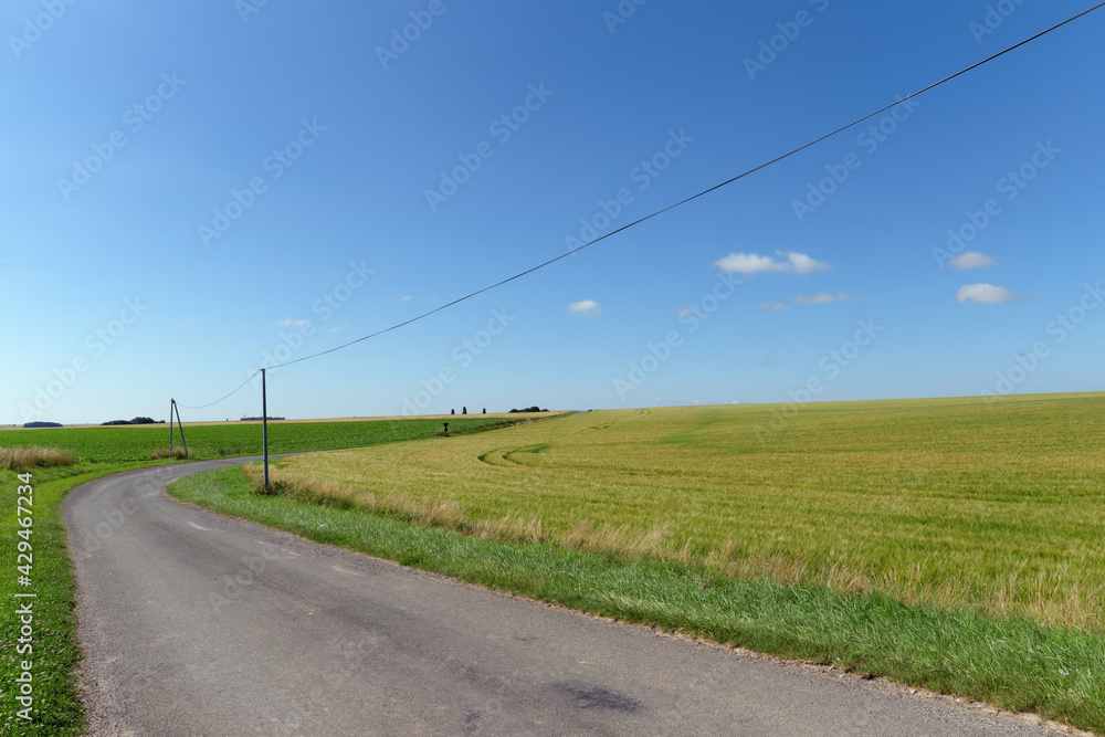 telephone pole and country road in Ile-De-France region. Chenoise-Cucharmoy village