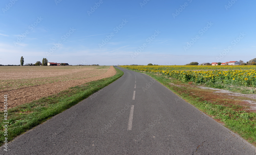 Country road in Ile-De-France region. La Haute-Maison village