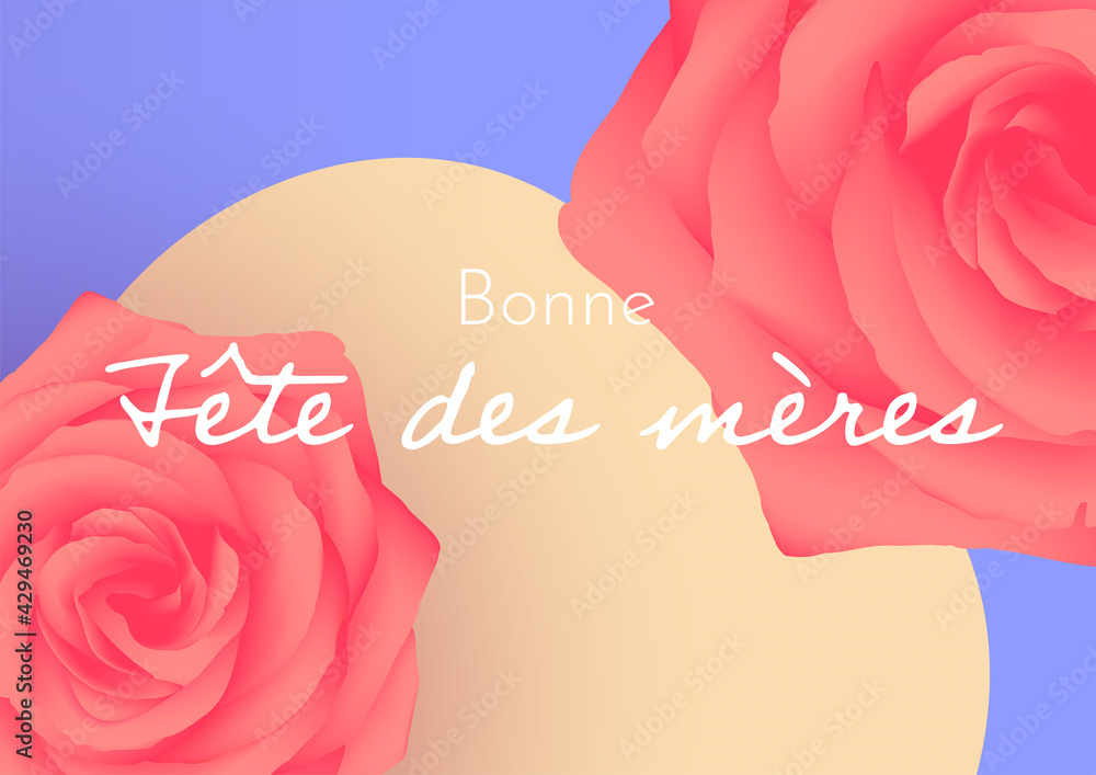 Deux roses rouges vues de haut pour la fête des mères Stock