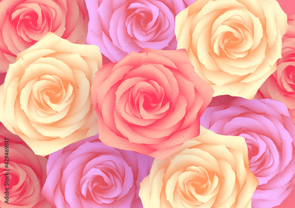 Roses jaunes viollettes et rose vues de dessus Roses jaunes viollettes et rose vues de dessus