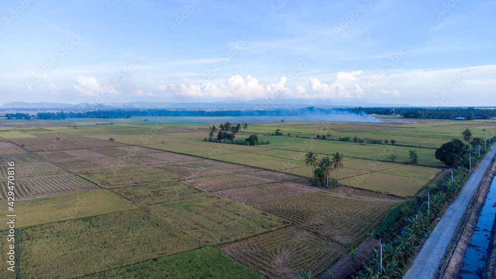 Pinrang, Sulawesi Selatan indonesia. The view of the rice fields that ...