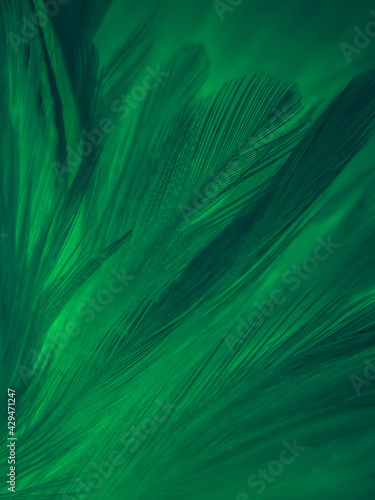 Beautiful Abstract Green Feathers On Black Background Yellow Feather  Texture On Dark Pattern Green Background Feather Wallpaper Love Theme  Valentines Day Dark Texture Stock Photo - Download Image Now - iStock