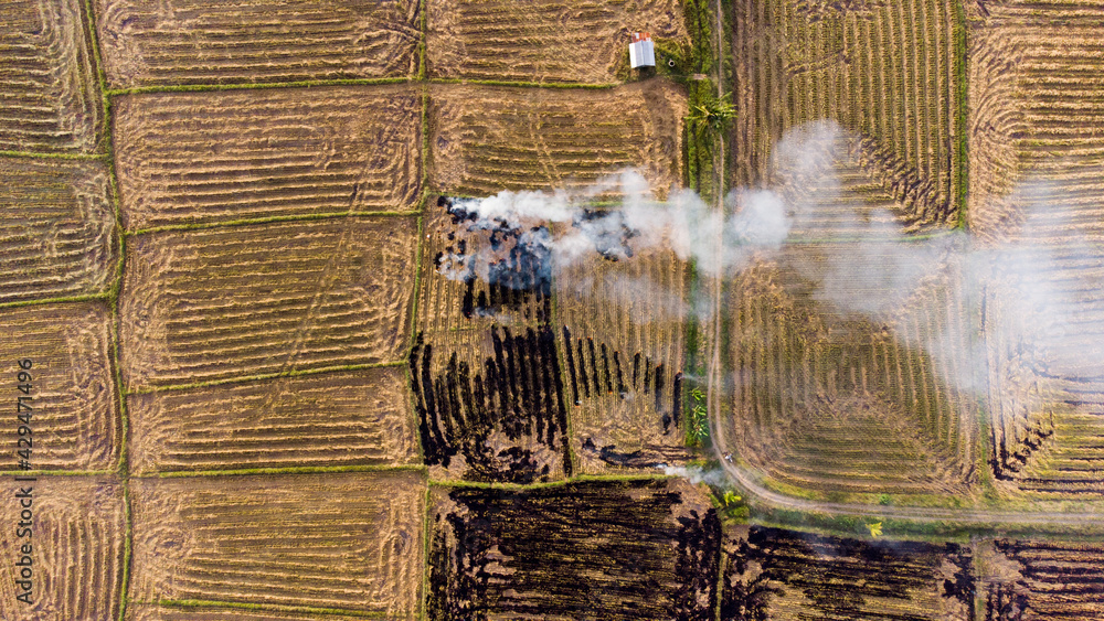 Pinrang, Sulawesi Selatan indonesia. The view of the rice fields that ...
