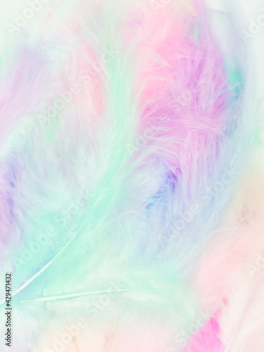 Beautiful abstract light pink feathers on colorful background, colorful feather frame on green purple and blue texture pattern, pink background, love theme wallpaper, valentines day, white gradient