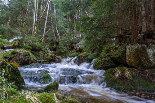 Cascade falls over mossy rocks