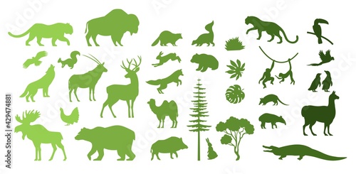 North, South America, Eurasia wild animal silhouettes, vector illustration. Save, discover wildlife. Zoo. Geography.