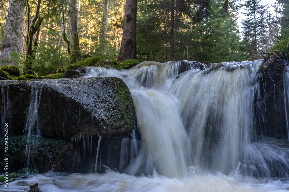 Fototapeta premium Cascade falls over mossy rocks