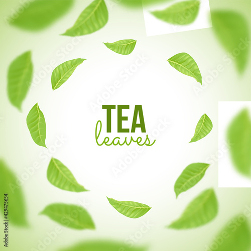 Green herbal tea background with leaves. Leaf flying in motion with blur effect in wind vector illustration. Healthy drink advertising with text wallpaper or poster design