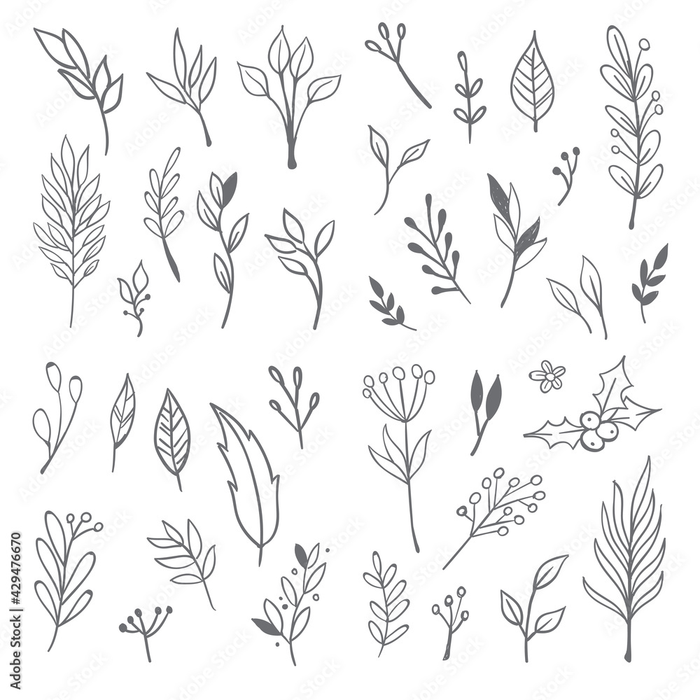 Fototapeta Flowers and leaves doodle collection. Hand drawn floral ornaments. Decorative plants illustrations.