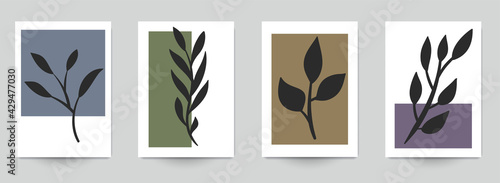 Set of abstract art concept composition with silhouettes leafs and geometric shapes in minimal style. Design modern trendy background for print, poster, card, wallpaper. Botanical vector illustration.