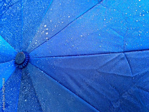 umbrella in the rain