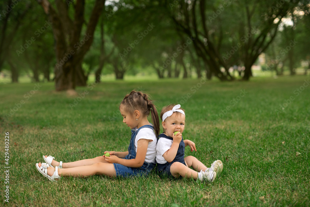 Fototapeta premium Two sisters sit in the park on the grass and eat apples. Mini picnic in the fresh air. Healthy, complete and proper baby food.