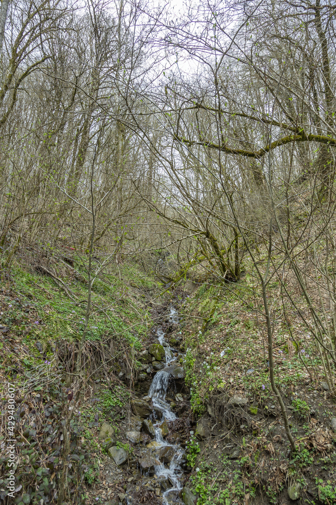 Fototapeta premium Small water stream flows down the mountainside with trees at daytime