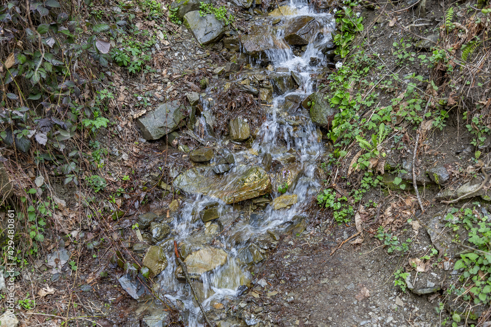 Obraz premium Small water stream flows down the mountainside with trees at daytime