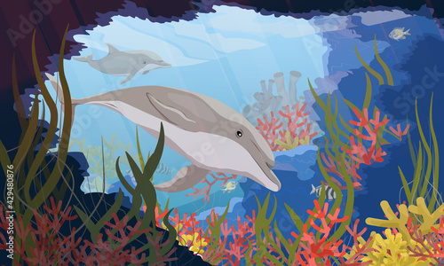 Common bottlenose dolphin Tursiops truncatus swims into the spawning cave with green algae, corals, tropical fish and other sea creatures. Realistic vector underwater landscape