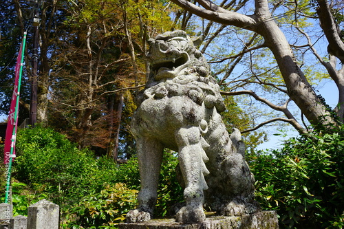 Flowing water into fountain Pool for washing hands to cleanse at Yoshimizu Shrine (Yoshimizu-jinja) on mount Yoshino in Nara Prefecture, Japan - 吉水神社 狛犬 吉野山 奈良 日本 photo