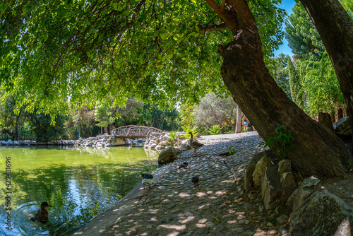 View to the artificial lake with the wooden bridge at the National Garden of Athens - Greece. It's a public park located in the center of Athens city between the greek parliament and the Zappeion Hall