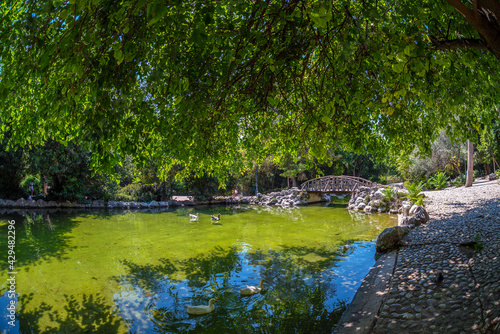 Artificial lake at the National Garden of Athens - Greece. It is a public park behind the Greek Parliament at Syntagma square and the Zappeion Hall neoclassical building. Ducks swimming, sunny day