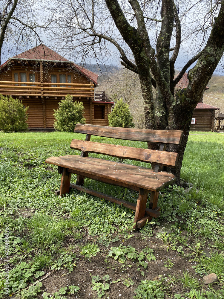 Close up of wooden bench near tree in countryside. Wooden pew on lawn for outdoor recreation.