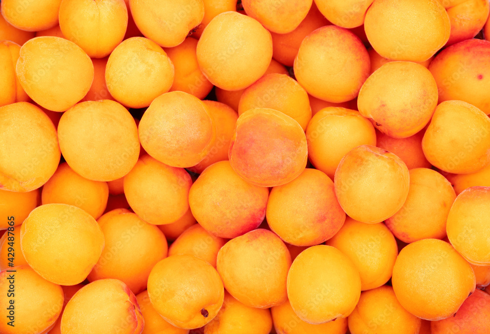 Bright, fresh, organic apricots as fruit background Bright, fresh, organic apricots as fruit background