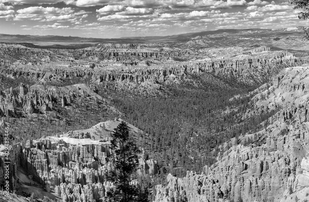 Bryce Canyon National Park in summer season - Panoramic view