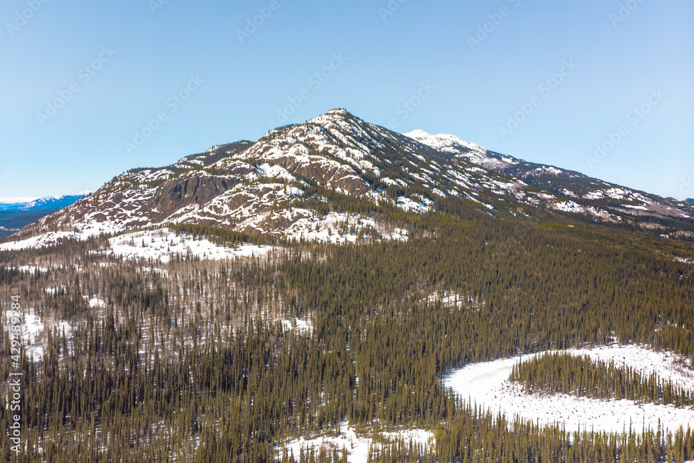 Drone, aerial shot of mountain in spring time with wilderness, forest, blue skies in the background. Scenic tourism shot with spruce trees. Taken from above, birds eye view. 
