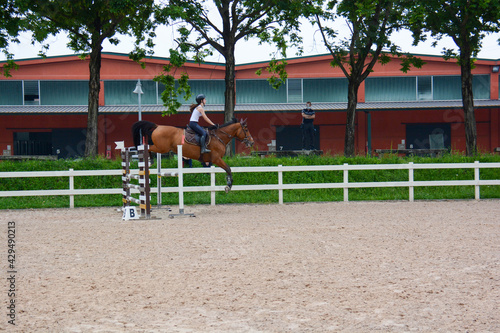show jumping lessons