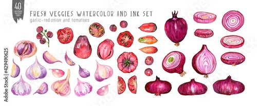 Watercolor and ink garlic, red onion and tomatoes set isolated on white. Colorfull set of red veggies for design a textile, fabric, wallpapers, print and banners.