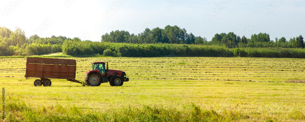 Fototapeta premium Tractor in the field for agricultural work.