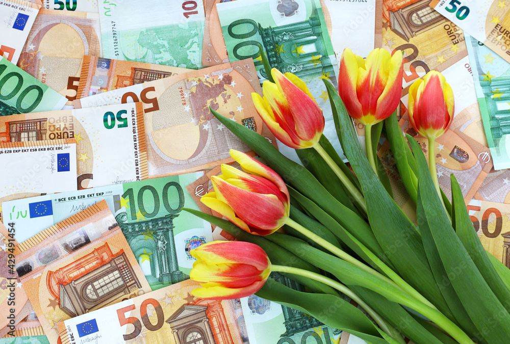 Bouquet of red-yellow tulips with green leaves on 50 and 100 euro banknotes background. Spring prices, sales, discounts, gifts, congratulations. Financial, economy, business concept. Place for text.