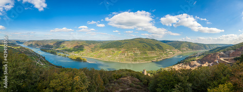 Panoramic image over an area of the middle Rhine valley in Germany with medieval castle and vineyards