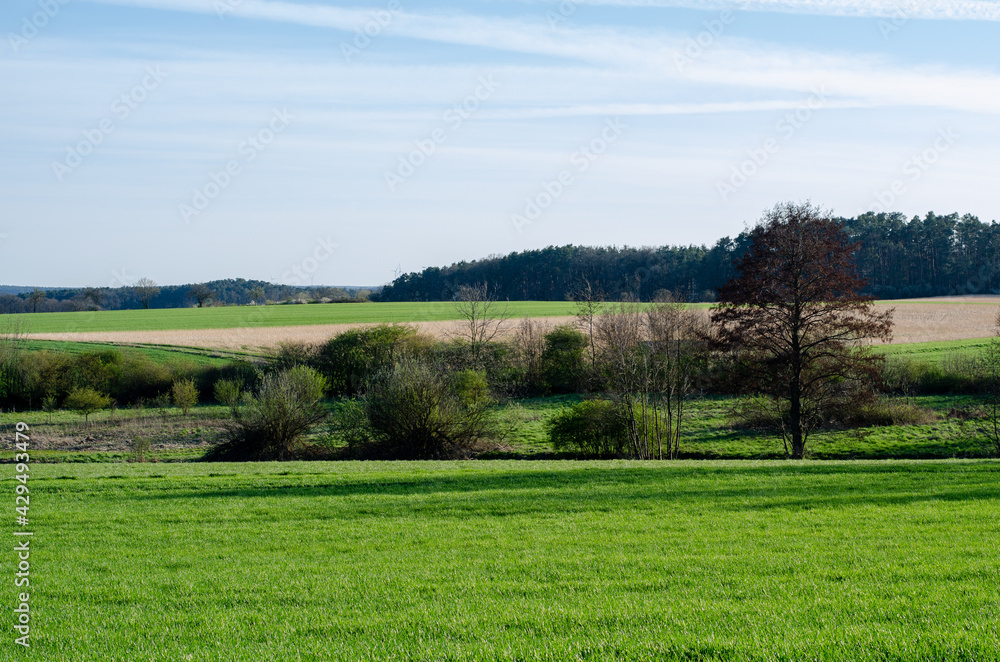 Landscape in Franconia, Germany in spring