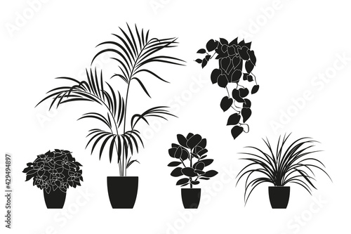 Collection silhouettes of houseplants in black color. Potted plants isolated on white. set green tropical plants. trendy home decor with indoor plants, planters, tropical leaves.