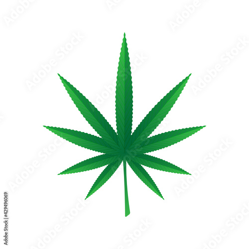 Hemp leaf isolated on white background. Vector stock illustration. 