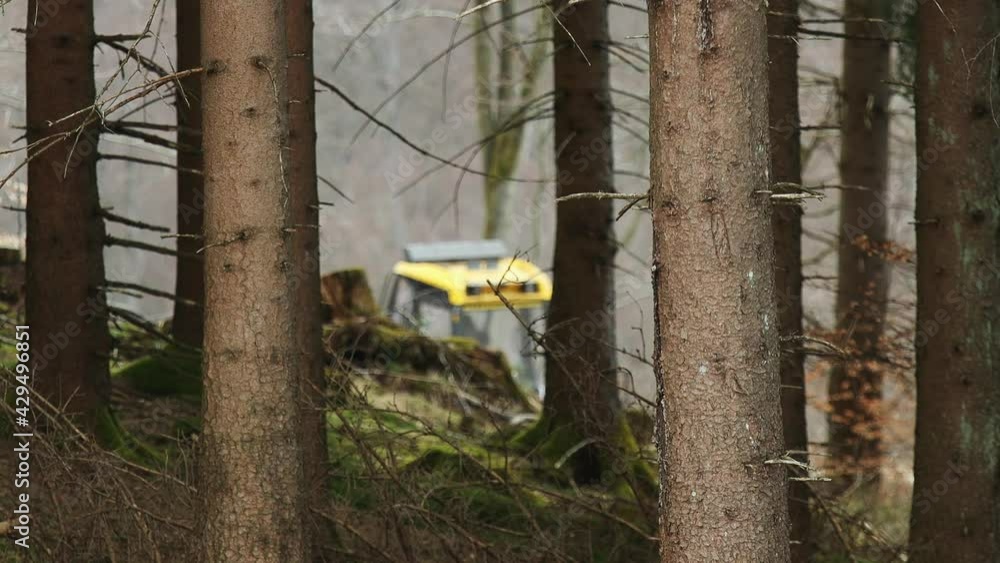 a working harvester with forest blur handheld a working harvester with forest blur handheld