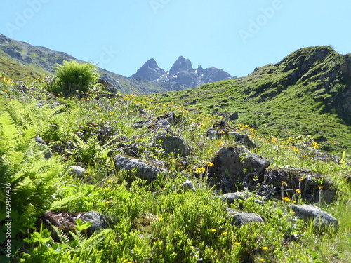 Landschaft
