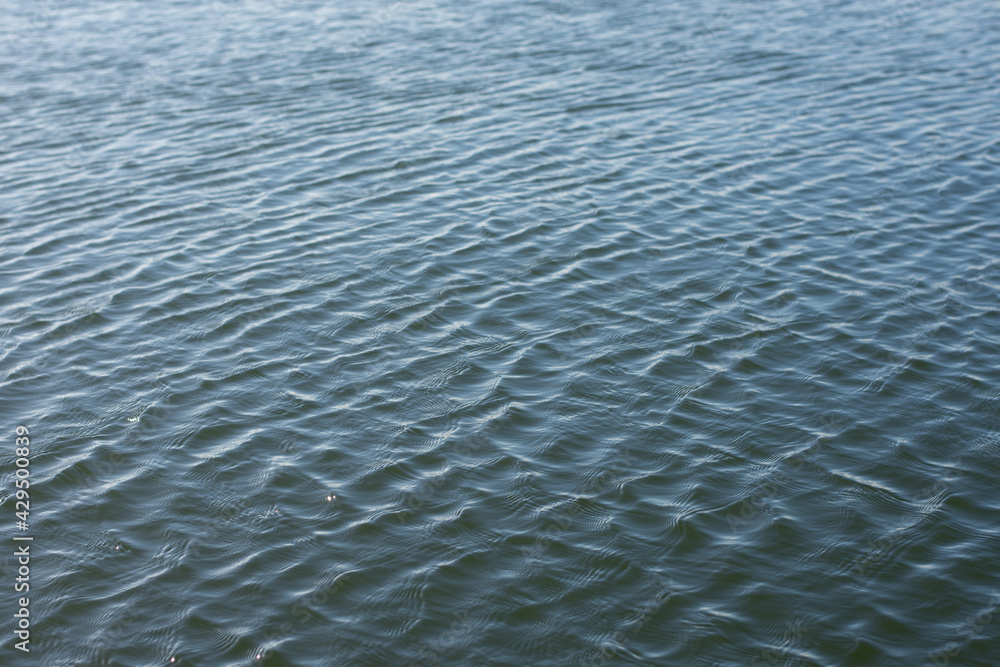 Fototapeta premium Water drop creating waves and ripples in on a dark blue background