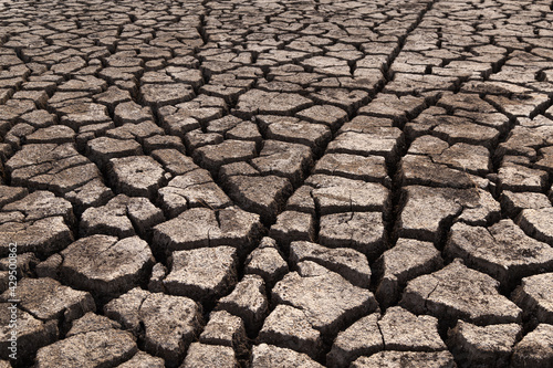 Beautiful deep cracks in the ground, background texture. Selective focus at wide cracks in dry soil. Effects of heat and drought. Concept of global warming, greenhouse effect. Earth climate change